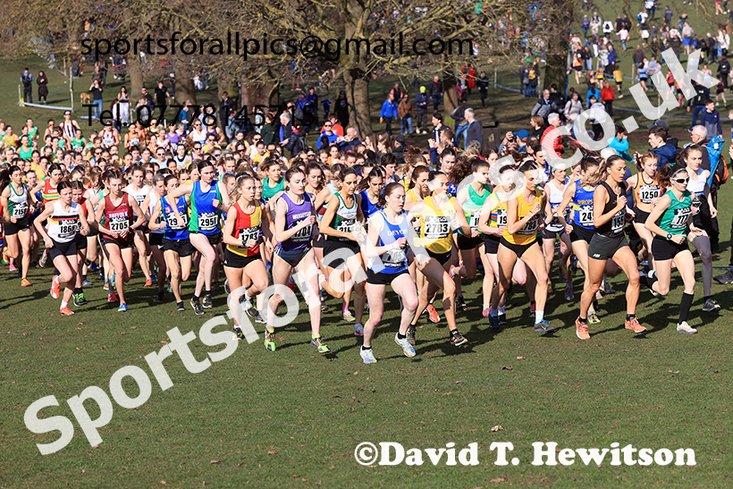 Senior womens 2025 UK CAU Inter Counties Cross Country Champs., Wollaton Park, Nottingham. Photo: David T. Hewitson/Sports for All Pics
